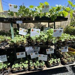 Cloverdale Home & Garden