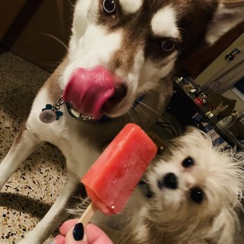 Cielito Artisan Pops - Ice Cream & Frozen Yogurt Near Me - Miami, Florida Cielito Artisan Pops - Ice Cream & Frozen Yogurt Near Me - Miami, Florida