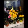 Jasons Flowers gift card