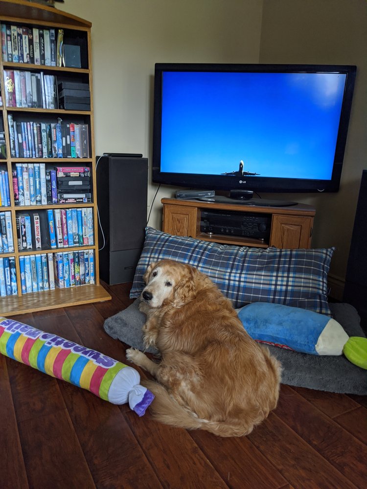 SHERBROOKE HEIGHTS ANIMAL HOSPITAL Updated September 2024 14 Photos