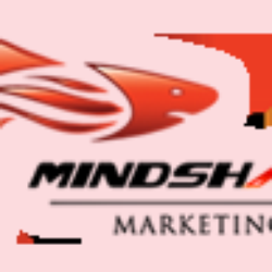 Mindshark Marketing