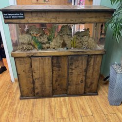 Smiles For All - Fish tank in kids waiting room