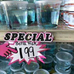 99 Cents Store