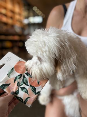 Adelina Social Goods by null