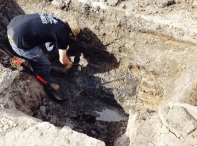 Slide of Nuckles & Son