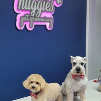 Huggies Pet Grooming - Thr Boys - Pet Groomers Near Me - Hollywood, Florida Huggies Pet Grooming - Thr Boys - Pet Groomers Near Me - Hollywood, Florida