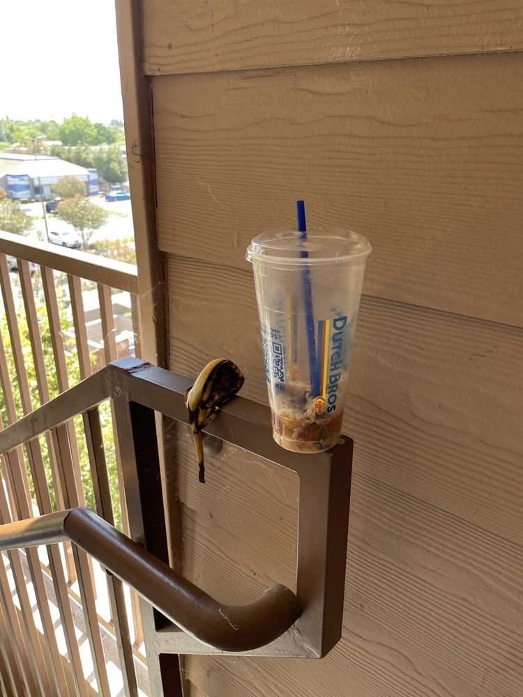 AVERY FRESNO 51 Photos & 72 Reviews 335 E Barstow Ave, Fresno, CA