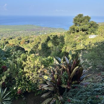 The Coffee Shack - The view. The Lilikoi Cheese Cake. The dream. - Coffee & Tea Near Me - Captain Cook, Hawaii