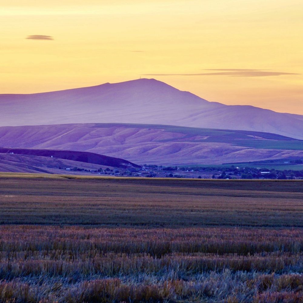 Wheat Head Brewing Co. - The view after sunset - Breweries Near Me - Kennewick, Washington Wheat Head Brewing Co. - The view after sunset - Breweries Near Me - Kennewick, Washington