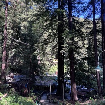 Mystery Spot - Amusement Parks Near Me - Santa Cruz, California Mystery Spot - Amusement Parks Near Me - Santa Cruz, California
