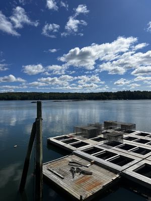 Glidden Point Oyster Farms by null