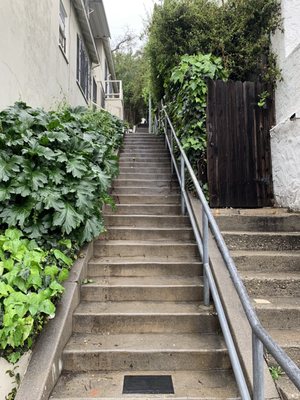 Music Box Stairs by null