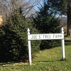 Joe's Christmas Tree Farm