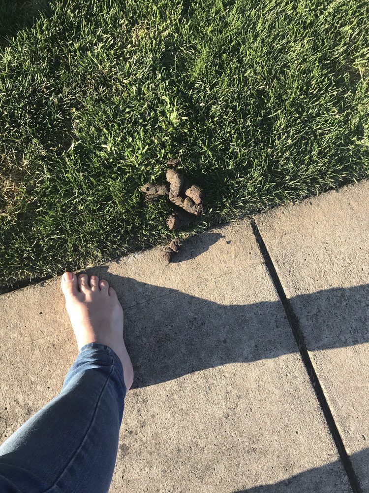 HIGHLAND HILLS APARTMENTS 31 Photos & 30 Reviews 2406 NE 139th St