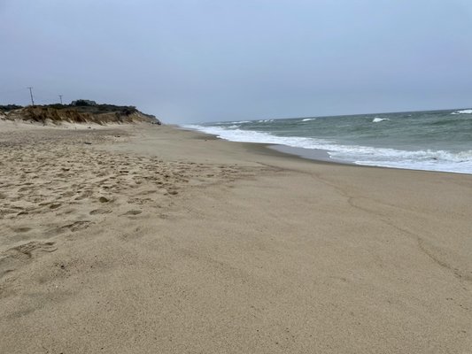 Coast Guard Beach by null