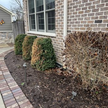 Naturescape - Don't use this company! And I had to wash all these windows. They don't give a shit! - Tree Services Near Me - Schaumburg, Illinois Naturescape - Don't use this company! And I had to wash all these windows. They don't give a shit! - Tree Services Near Me - Schaumburg, Illinois