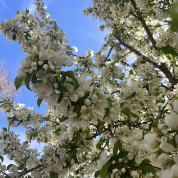 Tiguex Park - Parks Near Me - Albuquerque, New Mexico