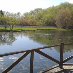 Skylor Pond - trains do come by
