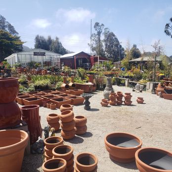 Los Osos Valley Nursery - Los Osos Valley Nursery, my go to gardening center. - Nurseries & Gardening Near Me - Los Osos, California
