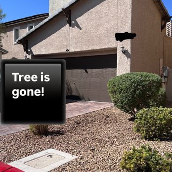 JR Landscaping - Tree is gone - Lawn Services Near Me JR Landscaping - Tree is gone - Lawn Services Near Me