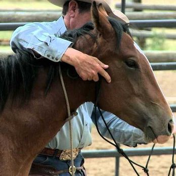 Christopher James Horsemanship - Horseback Riding Near Me Christopher James Horsemanship - Horseback Riding Near Me