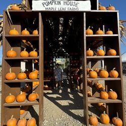 Maple Leaf Farms