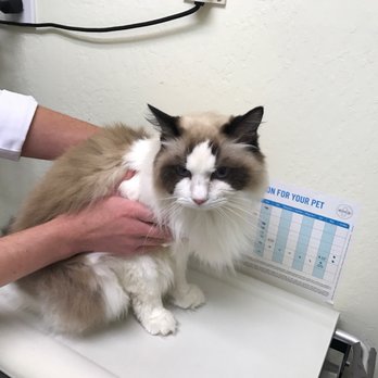 Vca Cottage Animal Hospital 13 Photos 71 Reviews