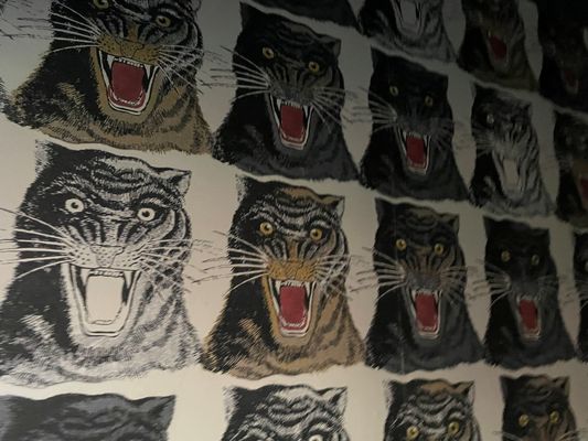 Jaguar Room by null