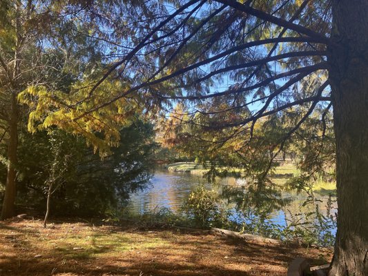 Clark Gardens by null