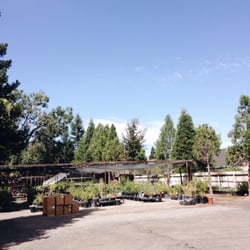 Floral Native Nursery
