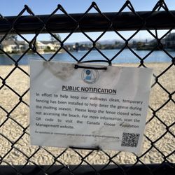 Gull Park - Keep the gate close when not accessing the beach