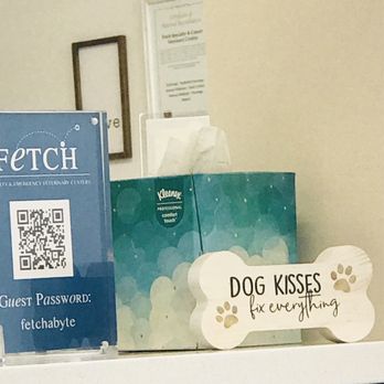 Fetch Specialty & Cancer Veterinary Center - Wifi password is listed here - Veterinarians Near Me - Brandon, Florida Fetch Specialty & Cancer Veterinary Center - Wifi password is listed here - Veterinarians Near Me - Brandon, Florida