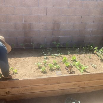 Wild Landscape - I ordered a special custom ordered raised Garden Bed and it came out better than I expected! - Lawn Services Near Me Wild Landscape - I ordered a special custom ordered raised Garden Bed and it came out better than I expected! - Lawn Services Near Me