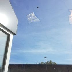 Baskin-Robbins - Smashed flies all over