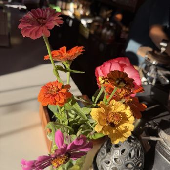 Anoche - Decorations - Coffee & Tea Near Me - Asheville, North Carolina