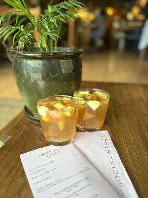 The Social Study by null