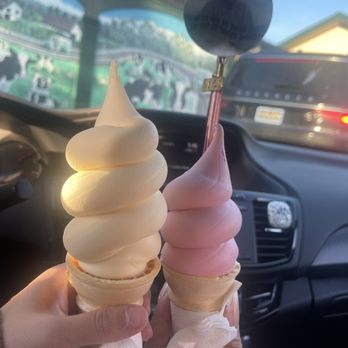 Meadowlark Dairy - Ice Cream & Frozen Yogurt Near Me - Pleasanton, California Meadowlark Dairy - Ice Cream & Frozen Yogurt Near Me - Pleasanton, California