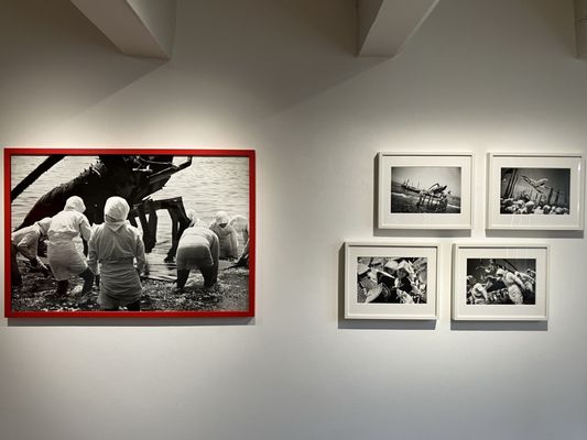 Huis Marseille, Museum for Photography by null