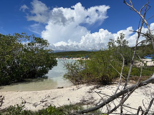 Playa La Jungla by null