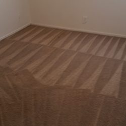 Omega Carpet Cleaning Services