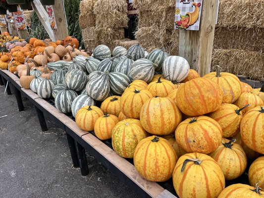 Calareso's Farm Stand & Garden Center by null