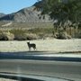 Photo of 29 Palms Art Gallery