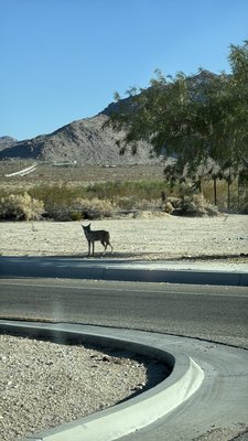 29 Palms Art Gallery by null