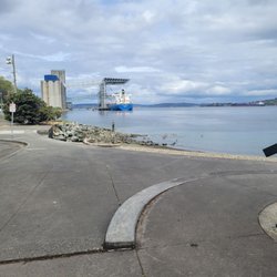 Thea's Park