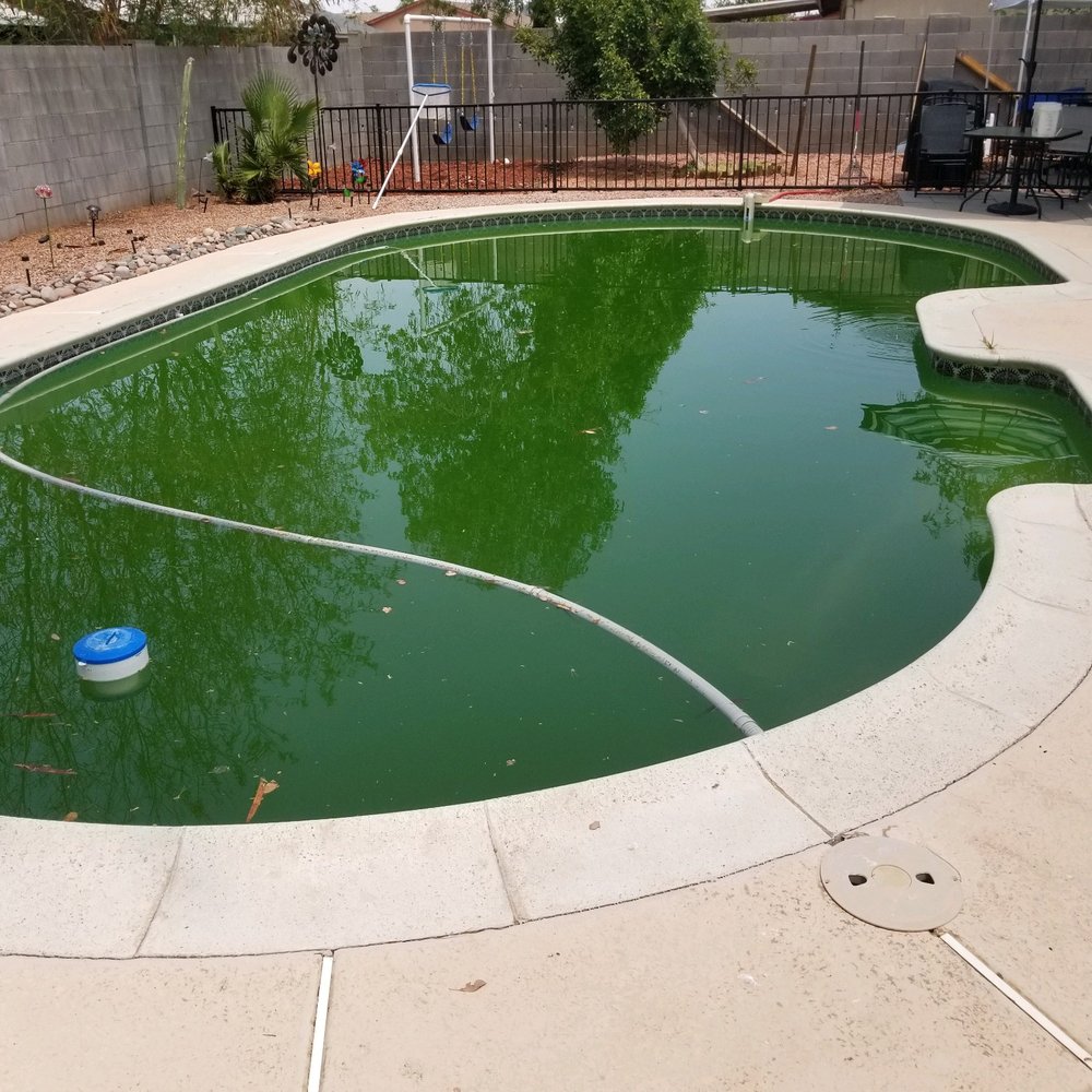 POOL CHLOR Updated September 2024 411 W Gemini Dr, Tempe, Arizona