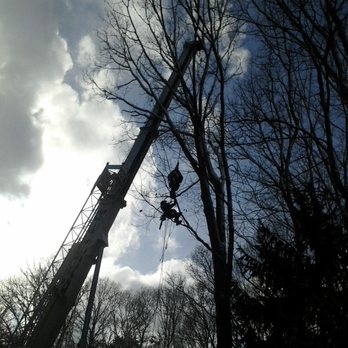 Forest Keepers Tree Care - Tree Services Near Me - Lawrence, Kansas