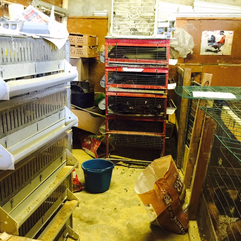 THE BEST 10 LIVESTOCK FEED & SUPPLY in SOLANO COUNTY, CA - Updated 2026 -  Hours - Yelp