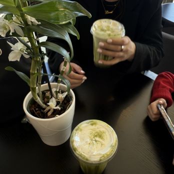 Yolo’s Cafe - Bubble Tea Near Me - Bellflower, California Yolo’s Cafe - Bubble Tea Near Me - Bellflower, California
