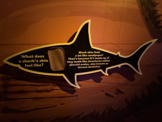 SEA LIFE Arizona Aquarium by null