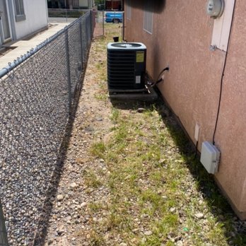 Flores Landscaping - Weed filled side yard - Landscaping Near Me - Bullhead City, Arizona Flores Landscaping - Weed filled side yard - Landscaping Near Me - Bullhead City, Arizona